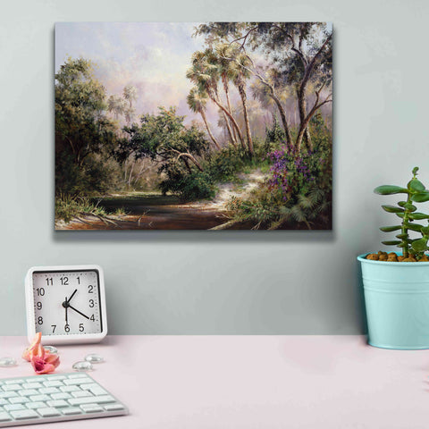Image of 'Myakka River Scene' by Art Fronckowiak, Giclee Canvas Wall Art,16x12