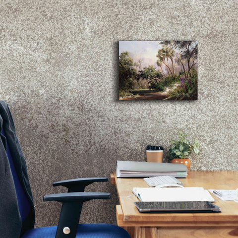 Image of 'Myakka River Scene' by Art Fronckowiak, Giclee Canvas Wall Art,16x12