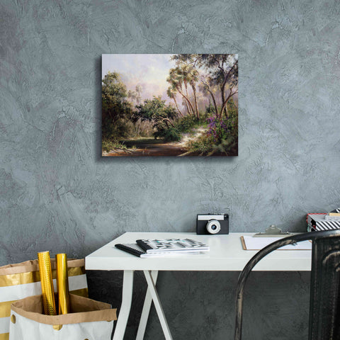 Image of 'Myakka River Scene' by Art Fronckowiak, Giclee Canvas Wall Art,16x12