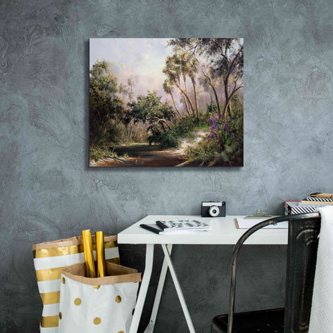 Image of 'Myakka River Scene' by Art Fronckowiak, Giclee Canvas Wall Art,24x20