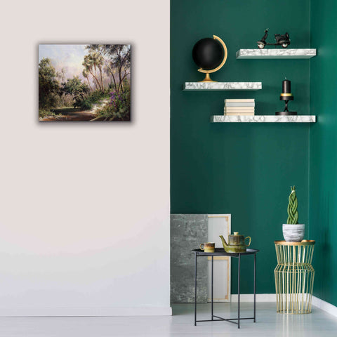 Image of 'Myakka River Scene' by Art Fronckowiak, Giclee Canvas Wall Art,24x20