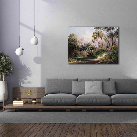Image of 'Myakka River Scene' by Art Fronckowiak, Giclee Canvas Wall Art,54x40