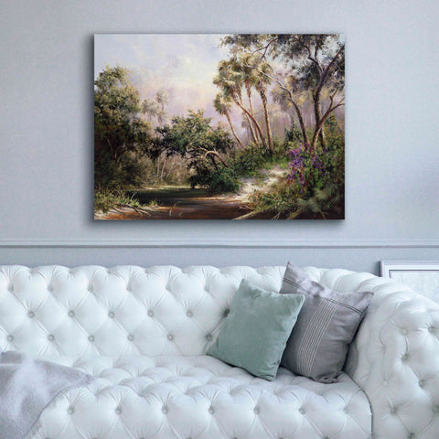Image of 'Myakka River Scene' by Art Fronckowiak, Giclee Canvas Wall Art,54x40