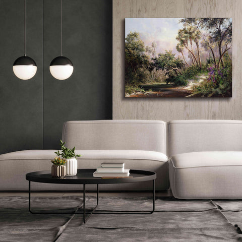Image of 'Myakka River Scene' by Art Fronckowiak, Giclee Canvas Wall Art,54x40