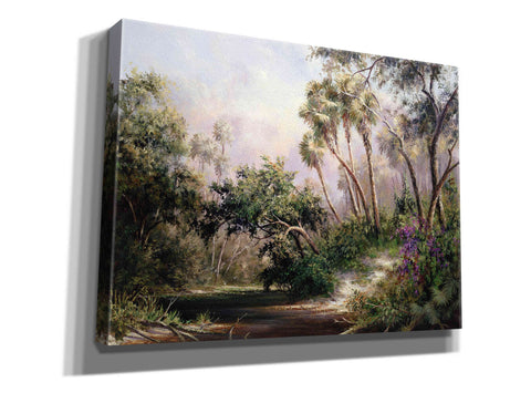 Image of 'Myakka River Scene' by Art Fronckowiak, Giclee Canvas Wall Art