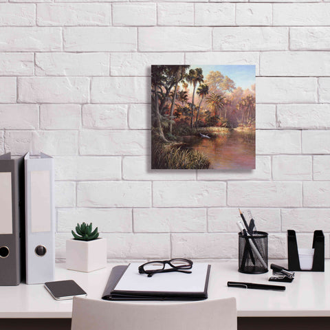 Image of 'Myakka Sunset' by Art Fronckowiak, Giclee Canvas Wall Art,12x12