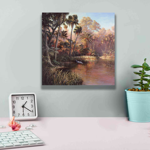 Image of 'Myakka Sunset' by Art Fronckowiak, Giclee Canvas Wall Art,12x12