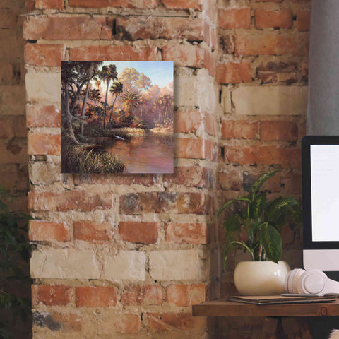 Image of 'Myakka Sunset' by Art Fronckowiak, Giclee Canvas Wall Art,12x12