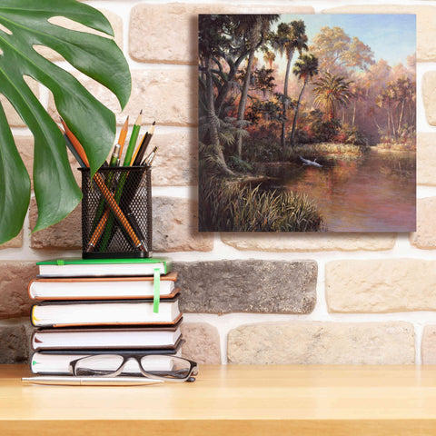 Image of 'Myakka Sunset' by Art Fronckowiak, Giclee Canvas Wall Art,12x12