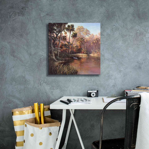 Image of 'Myakka Sunset' by Art Fronckowiak, Giclee Canvas Wall Art,18x18