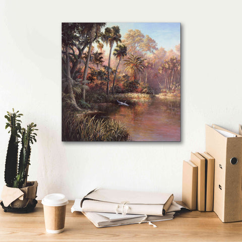 Image of 'Myakka Sunset' by Art Fronckowiak, Giclee Canvas Wall Art,18x18