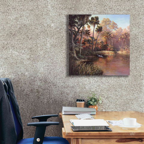 Image of 'Myakka Sunset' by Art Fronckowiak, Giclee Canvas Wall Art,26x26