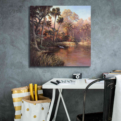 Image of 'Myakka Sunset' by Art Fronckowiak, Giclee Canvas Wall Art,26x26