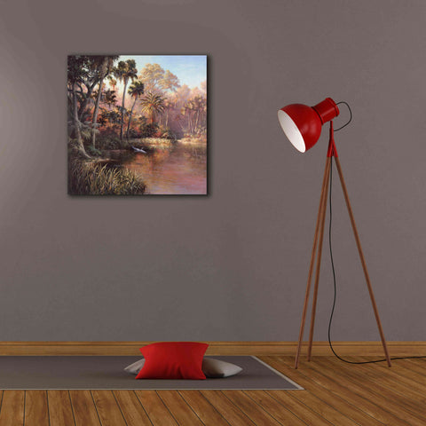 Image of 'Myakka Sunset' by Art Fronckowiak, Giclee Canvas Wall Art,26x26