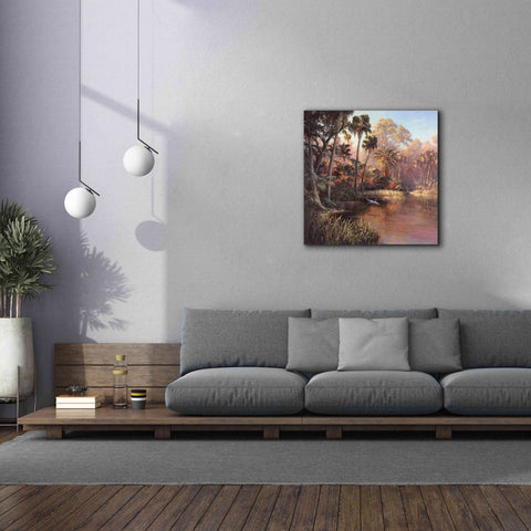 Image of 'Myakka Sunset' by Art Fronckowiak, Giclee Canvas Wall Art,37x37