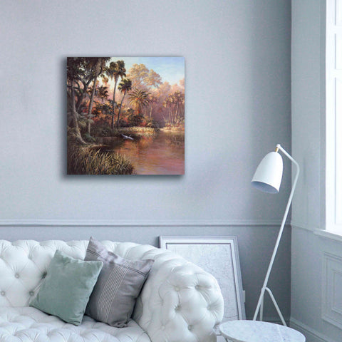 Image of 'Myakka Sunset' by Art Fronckowiak, Giclee Canvas Wall Art,37x37