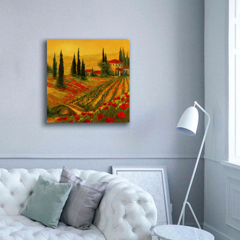 Image of 'Poppies of Toscano I' by Art Fronckowiak, Giclee Canvas Wall Art,37x37