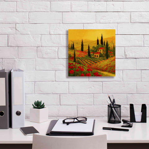 Image of 'Poppies of Toscano II' by Art Fronckowiak, Giclee Canvas Wall Art,12x12