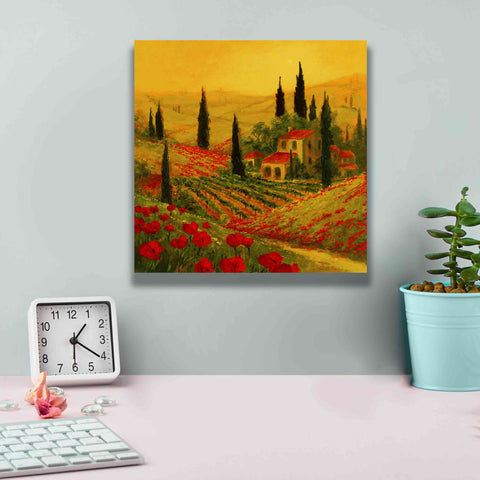 Image of 'Poppies of Toscano II' by Art Fronckowiak, Giclee Canvas Wall Art,12x12