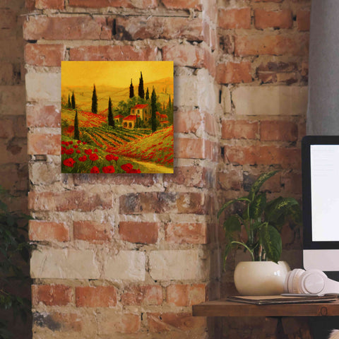 Image of 'Poppies of Toscano II' by Art Fronckowiak, Giclee Canvas Wall Art,12x12