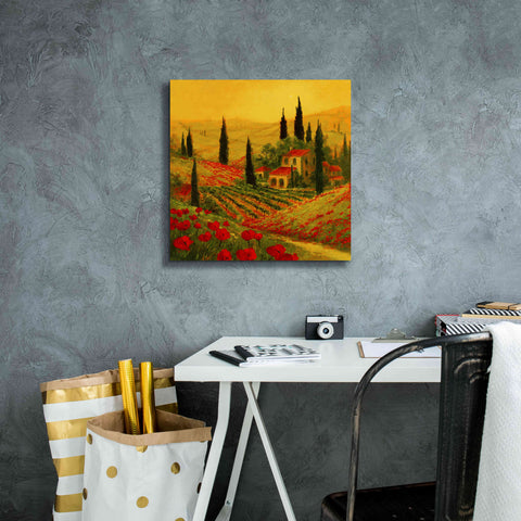 Image of 'Poppies of Toscano II' by Art Fronckowiak, Giclee Canvas Wall Art,18x18