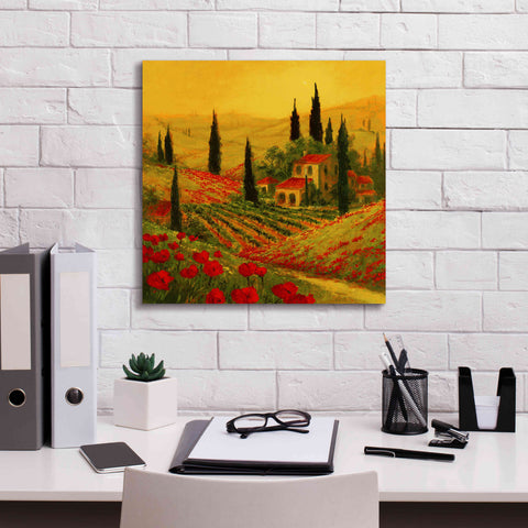 Image of 'Poppies of Toscano II' by Art Fronckowiak, Giclee Canvas Wall Art,18x18