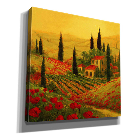 Image of 'Poppies of Toscano II' by Art Fronckowiak, Giclee Canvas Wall Art