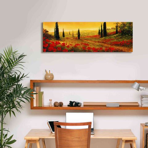 Image of 'Toscano Panel I' by Art Fronckowiak, Giclee Canvas Wall Art,36x12