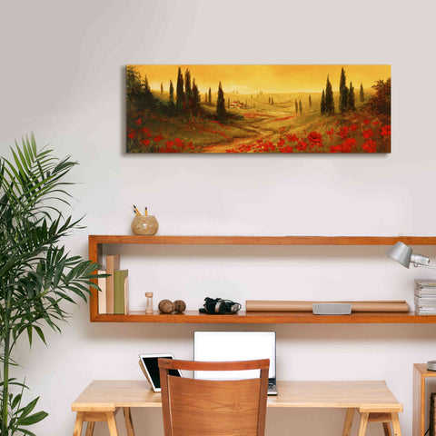 Image of 'Toscano Panel II' by Art Fronckowiak, Giclee Canvas Wall Art,36x12