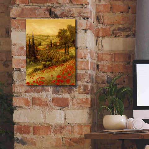 Image of 'Toscano Valley II' by Art Fronckowiak, Giclee Canvas Wall Art,12x16