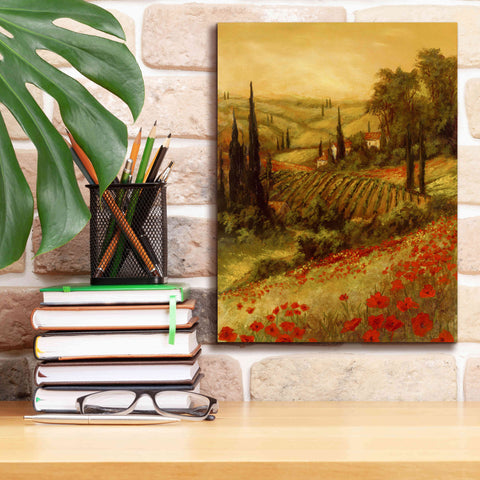 Image of 'Toscano Valley II' by Art Fronckowiak, Giclee Canvas Wall Art,12x16