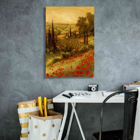 Image of 'Toscano Valley II' by Art Fronckowiak, Giclee Canvas Wall Art,18x26