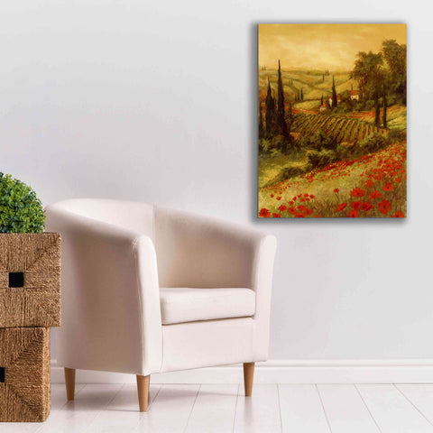 Image of 'Toscano Valley II' by Art Fronckowiak, Giclee Canvas Wall Art,26x34