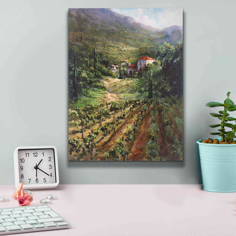 Image of 'Tuscany Vineyard' by Art Fronckowiak, Giclee Canvas Wall Art,12x16