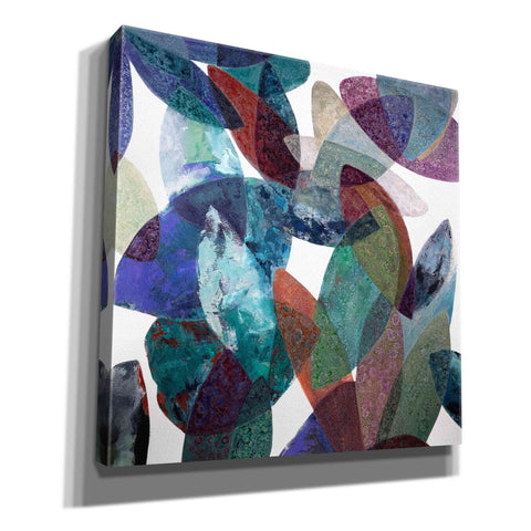 Image of 'Hojas Petreas III' by Daniela Fedele, Giclee Canvas Wall Art