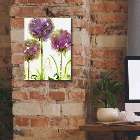 Image of 'Alliums' by Dawn Derman, Giclee Canvas Wall Art,12x16