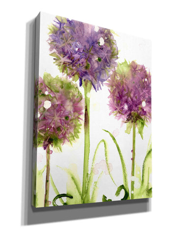 Image of 'Alliums' by Dawn Derman, Giclee Canvas Wall Art
