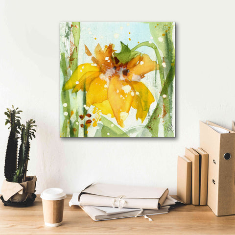 Image of 'Daffodil' by Dawn Derman, Giclee Canvas Wall Art,18x18
