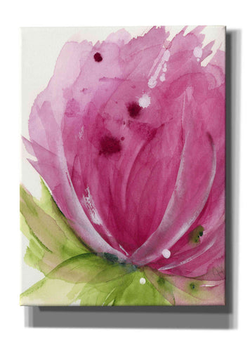 Image of 'Pink' by Dawn Derman, Giclee Canvas Wall Art