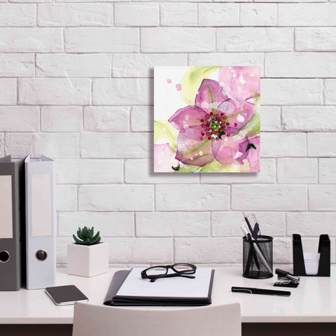 Image of 'Pink Flower in the Snow' by Dawn Derman, Giclee Canvas Wall Art,12x12