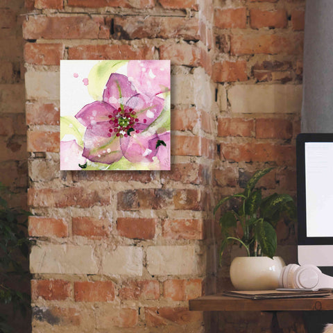 Image of 'Pink Flower in the Snow' by Dawn Derman, Giclee Canvas Wall Art,12x12