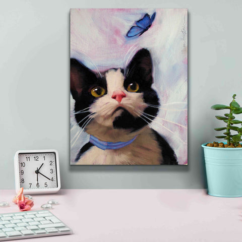 Image of 'Cat and Butterfly' by Diane Hoeptner, Giclee Canvas Wall Art,12x16