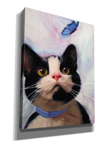 Image of 'Cat and Butterfly' by Diane Hoeptner, Giclee Canvas Wall Art