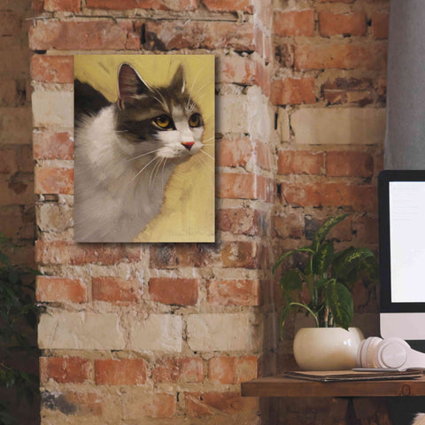 Image of 'Derby Cat' by Diane Hoeptner, Giclee Canvas Wall Art,12x16