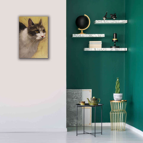 Image of 'Derby Cat' by Diane Hoeptner, Giclee Canvas Wall Art,18x26