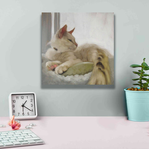 Image of 'Through the Window' by Diane Hoeptner, Giclee Canvas Wall Art,12x12