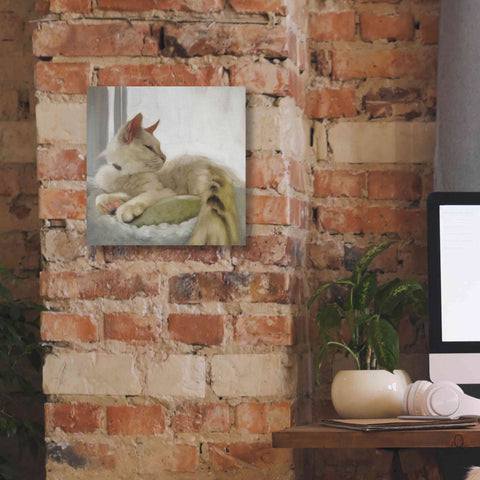 Image of 'Through the Window' by Diane Hoeptner, Giclee Canvas Wall Art,12x12