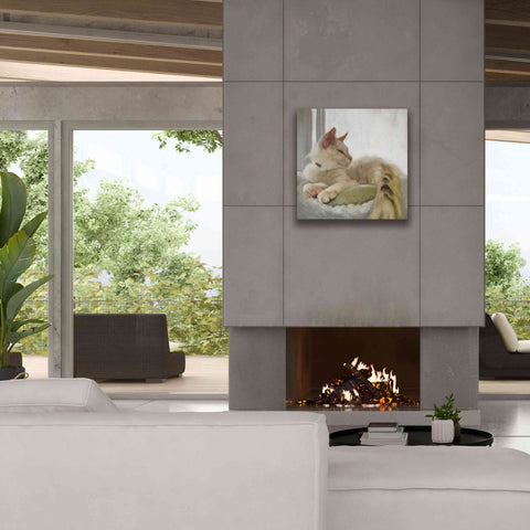 Image of 'Through the Window' by Diane Hoeptner, Giclee Canvas Wall Art,26x26