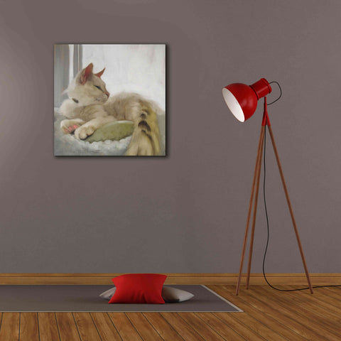 Image of 'Through the Window' by Diane Hoeptner, Giclee Canvas Wall Art,26x26