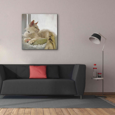 Image of 'Through the Window' by Diane Hoeptner, Giclee Canvas Wall Art,37x37